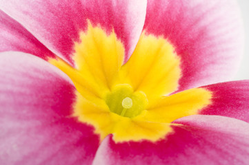 Fototapeta premium Hintergrund