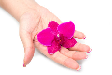 mano di donna con orchidea