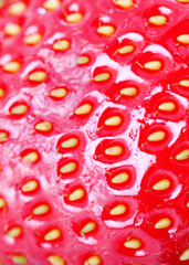 Bright juicy fresh strawberrie