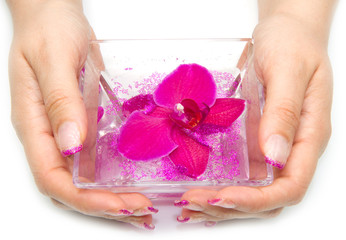 mani di donna con orchidea