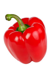 Paprika on white background (isolated)