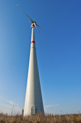 wind farm