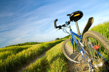 Fototapeta na wymiar Bike on the summer field