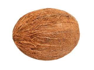 coconut isolated on white background