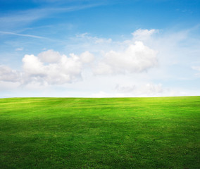 Fototapeta premium field on a background of the blue sky