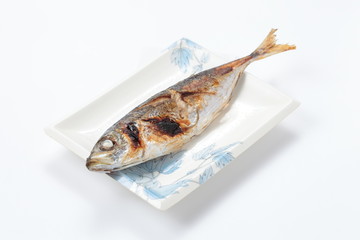 hoarse mackerel