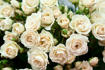 Fototapeta premium beautiful bouquet