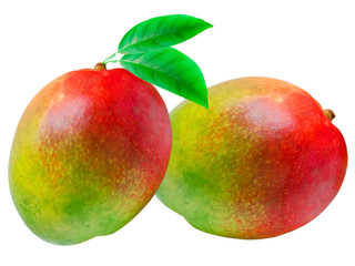 Mango isolated on white background