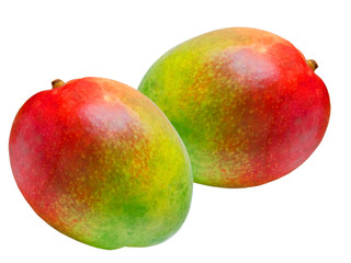 Mango isolated on white background
