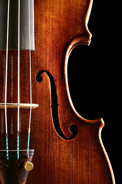 Violin - Cut out