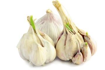 garlic