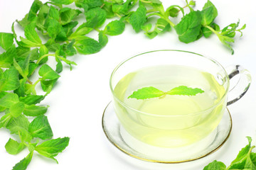 mint and herb tea