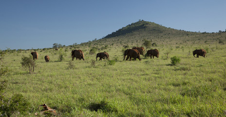 Kenia Africa _  Photo © Herby Meseritsch
