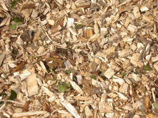 Holzschnipsel