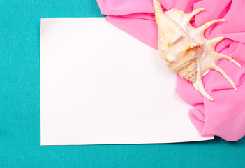 White sheet on a deep background with shell