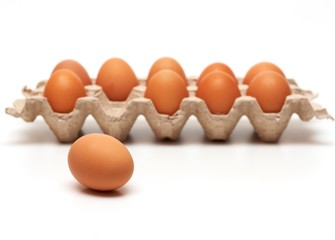 One egg out of container