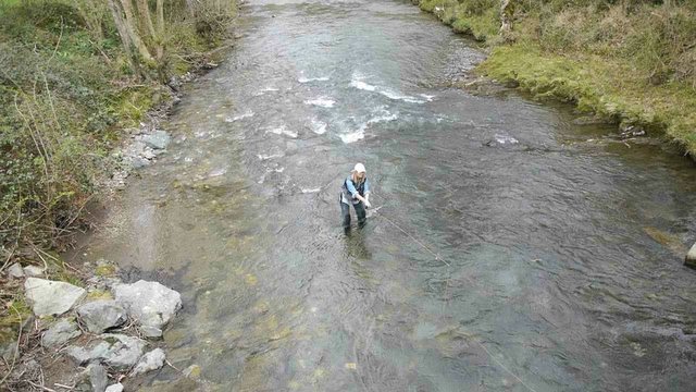 Upper view of woman fly-fishing in river