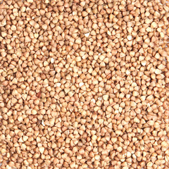 buckwheat;