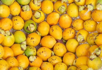 Closeup of Ripe areca nut