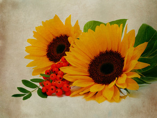 Sunflowers textured