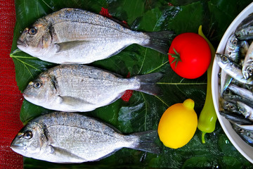 Gilt-head bream on display at fish market