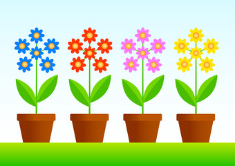 Flowers in pots