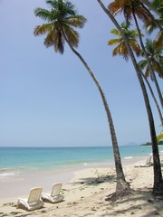 Martinique - Sainte-Anne : Plage des Salines