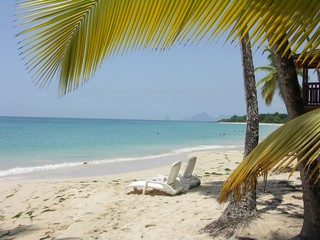 Martinique - Sainte-Anne : Plage des Salines