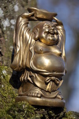 Fototapeta na wymiar Budda z pieniędzmi kubka