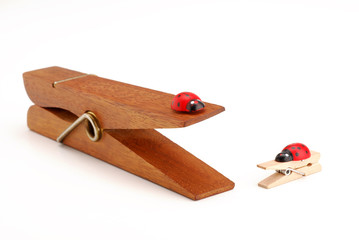PINZE DI LEGNO