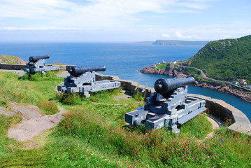 Signal Hill Cannons