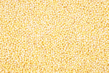 yellow millet close up as background