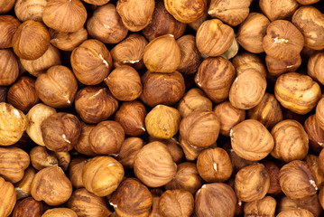 Hazelnuts macro background