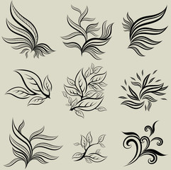 Fototapeta premium Vector set of leafs design elements