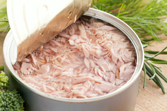 Fischdose