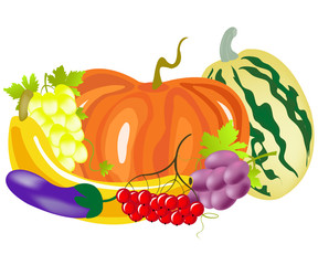 Vegetables and fruits