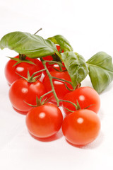 fresh tomatoes and basil