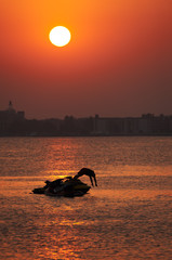 Fototapete bei efototapeten.de bestellen   