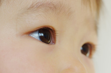 幼児の眼差し