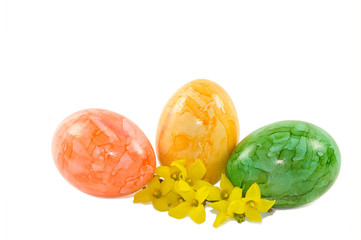 Drei Eier mit Forsythien