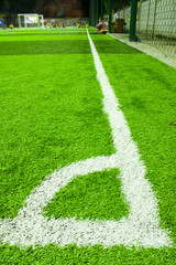 Corner edge of the lawn..