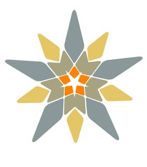 An illustration of star shaped design element