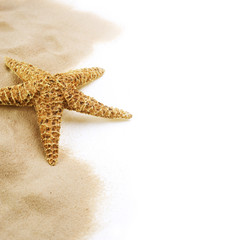 Starfish on the Sand. Vacation concept. Copy-space for text