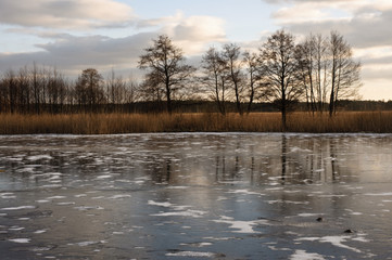 Wielkopolski staw © Grzegorz Polak