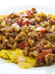 Omelet meat sauce (minced pork with onion and tomato)
