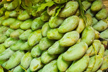 Green mango : Tropical fruit