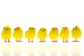 Easter chicks