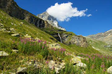Alpi