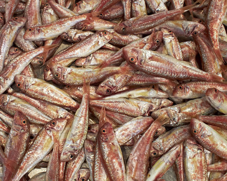 mullets fish at the central market, natural background