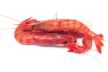 shrimps